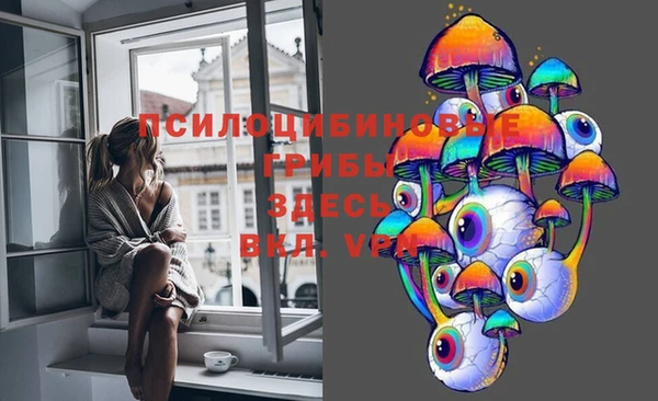 первитин Богородск