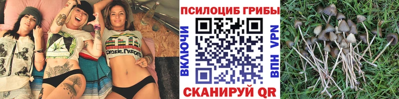 Псилоцибиновые грибы MAGIC MUSHROOMS  Купить  Лакинск 